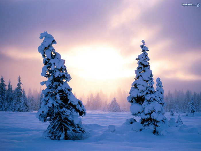 winter_003 - Peisaje de iarna