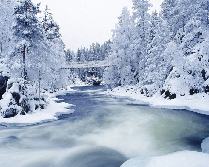 Winter_wallpapers_Winter_Forest_019431_ - Peisaje de iarna