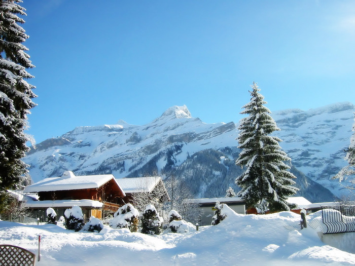 winter-holiday-wallpapers_10474_1600x1200 - Peisaje de iarna