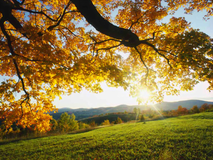 Autumn-Morning-Wallpaper - Peisaje de toamna