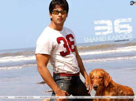 SHAHID (78)