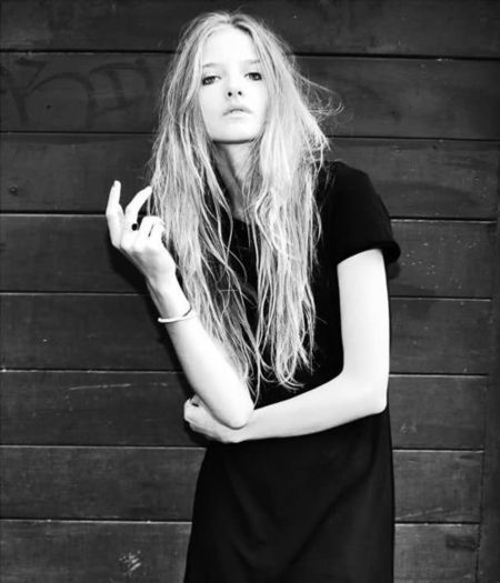 .Aristica.