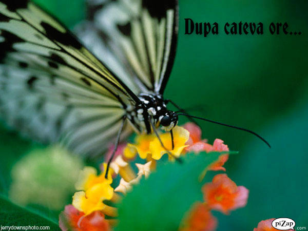 Dupa cateva ore...
