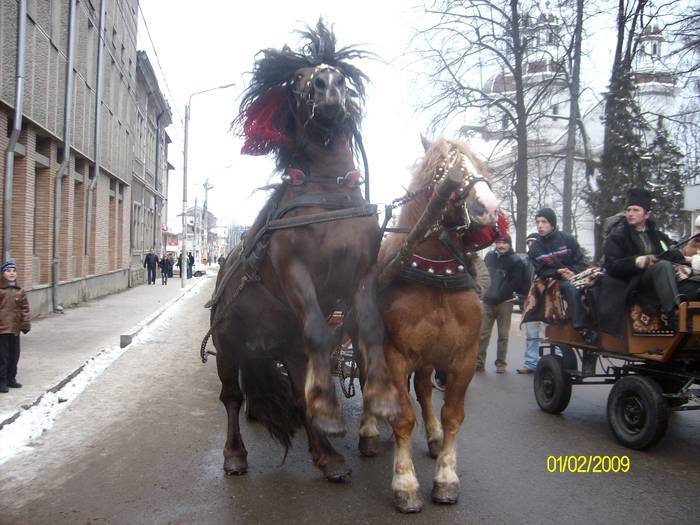 KYTTDBNXLMVASXUBCLS[2]