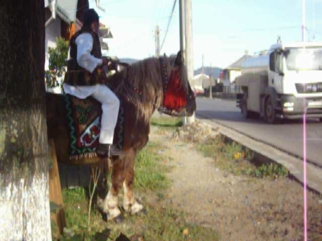 NVLIKZXHDVPIKYZELMM[2]