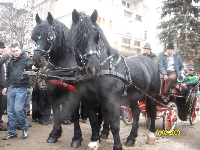 YBETWOCYBFLWBWGTSPL[2]