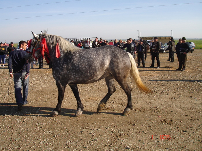14434906_GHQUGNTGD[2]