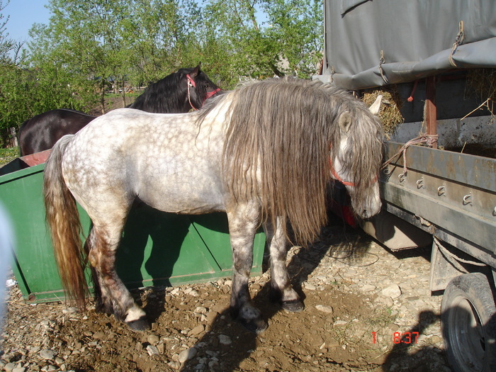 14434912_LOQBIJLRI[1]