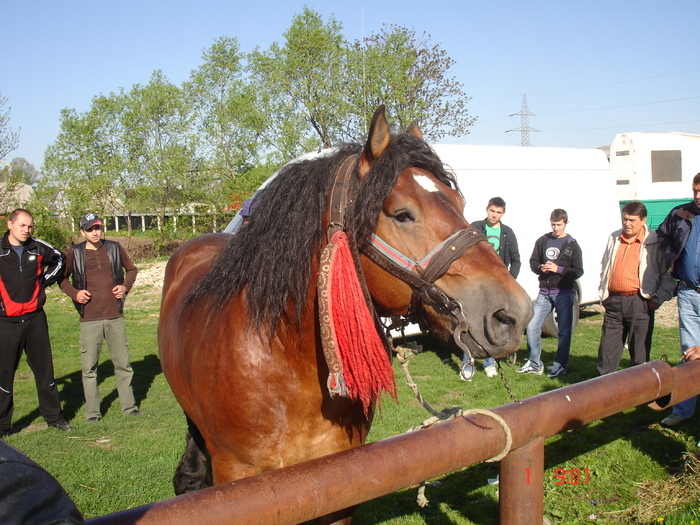 14435059_JDUTKYYSG[2]
