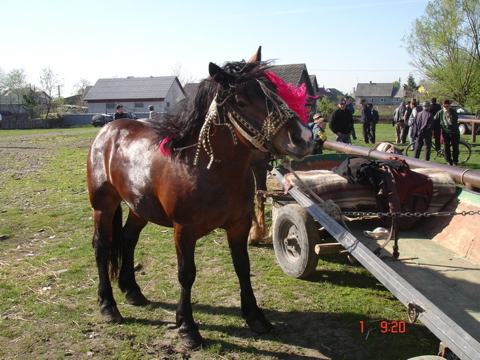 14435098_ZOQFZOFTP[2]