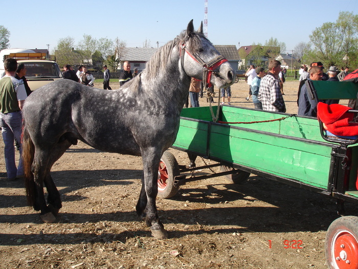 14435198_JQYZMRAWU[1]