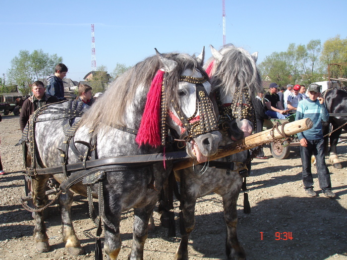 14435387_OEJYBBAZP[1]
