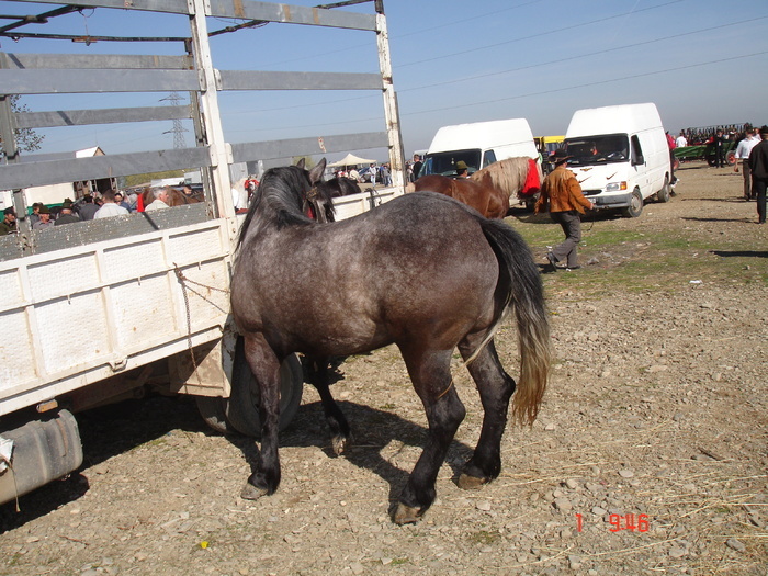 14435552_NJEKEPAPZ[1]