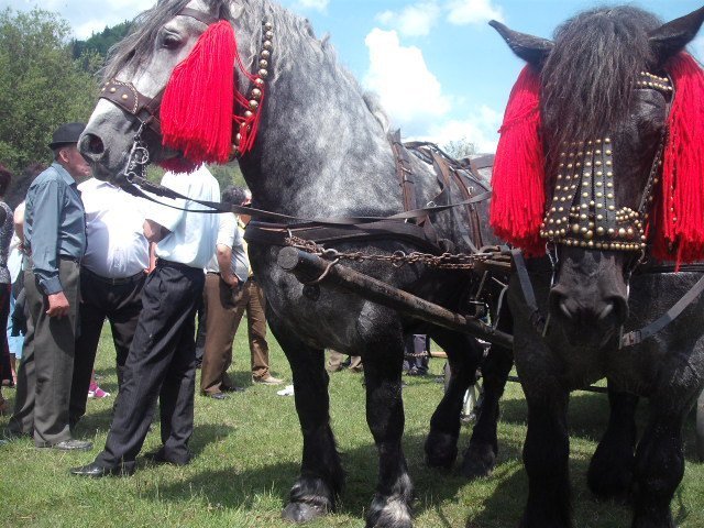 269459_234090019944683_100000310592644_817718_428910_n