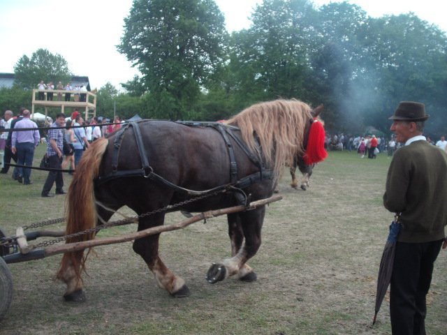 269565_234090419944643_100000310592644_817730_8269391_n