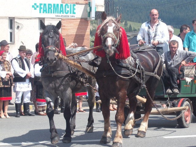 269792_234088779944807_100000310592644_817702_7581690_n