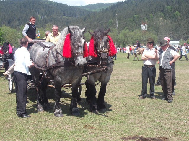 270624_234090893277929_100000310592644_817746_2143921_n