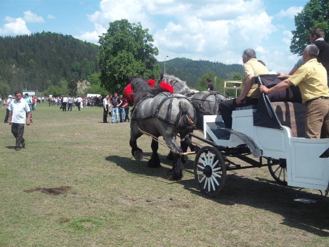 271105_234090819944603_100000310592644_817743_1155456_n