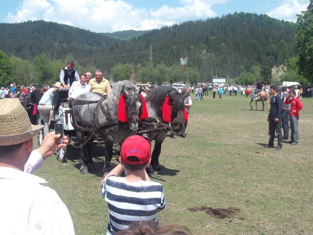 271180_234090876611264_100000310592644_817745_7567916_n - expo la bucsoaia