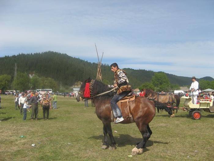 AIREZWGLTACDYBAXODL[1]