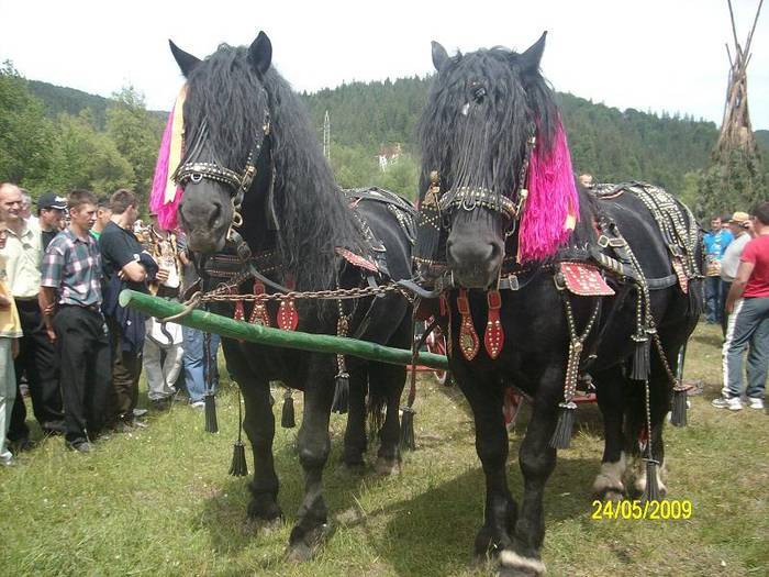 BBQQBFQMPOGVQRRJCRQ[1]