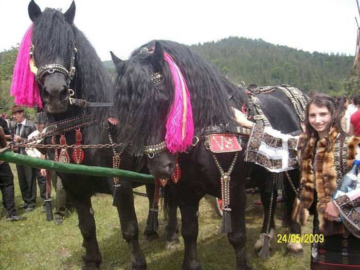 DIETRVVNYTWHXSDRWQW[1]