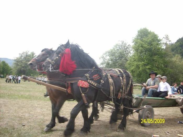 KLHNQQIJWFXJPQZMJWP[1]