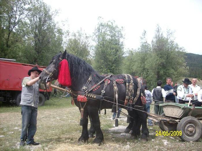 KNUUMGJKHKQSUTPZVWG[1]