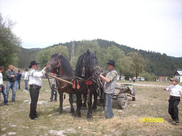 KTYMPXKDKEPNNFRDBID[1]