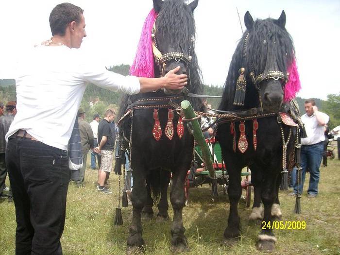 PJBJVHRZXCDTYTORNWO[1]