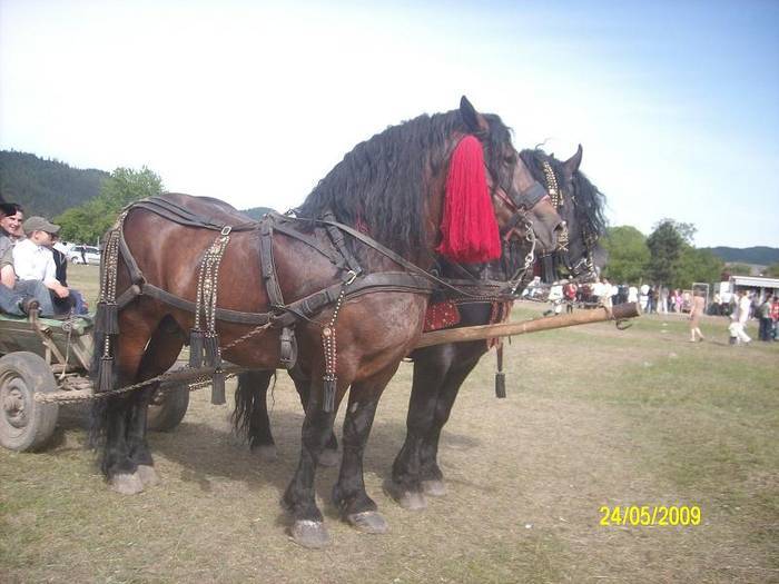 POMMPYSEHJHICIYVLMN[2]