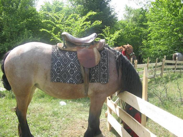 QDEEBWEDEBADLBCTTDG[1]