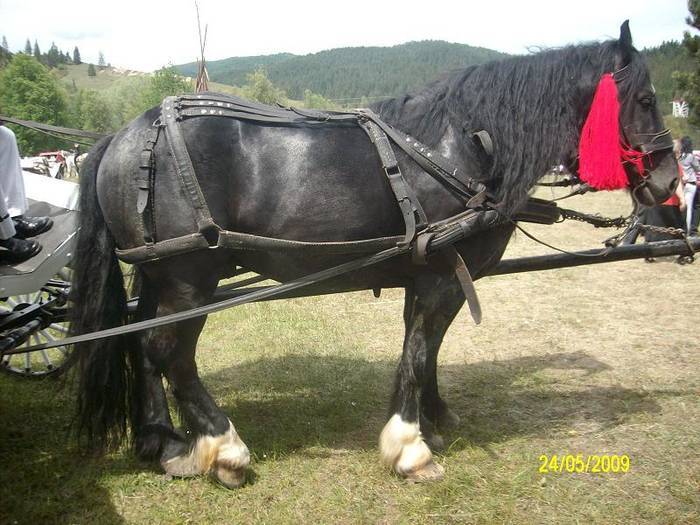 RQISCHFBWBJTIIQGXRO[1]