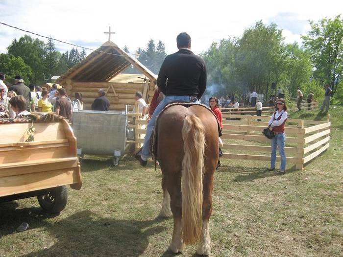TFUBZALOXCQPNLOTFTD[1] - expo la bucsoaia