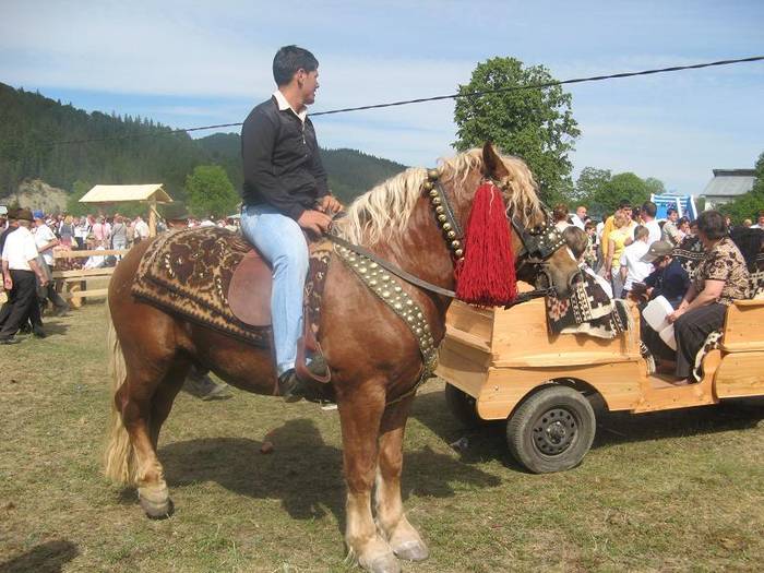 VDMHAVIZLAJSUOIJBUR[2]