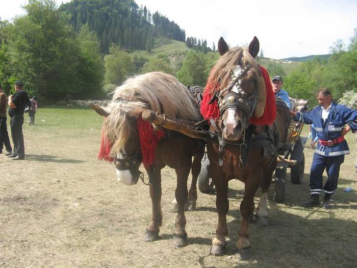 VELOPPLUBQXPEJYFDXA[1]