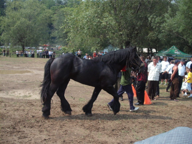 42215186_HJUWECJBH[1] - expo capu campului