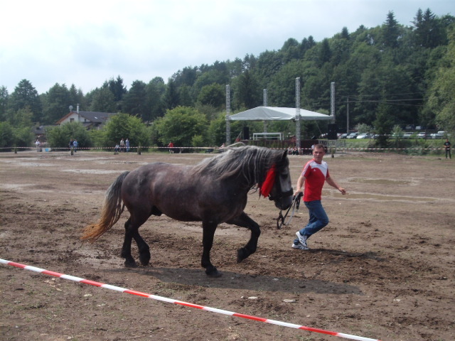 42215187_YUXXYLFOM[2] - expo capu campului