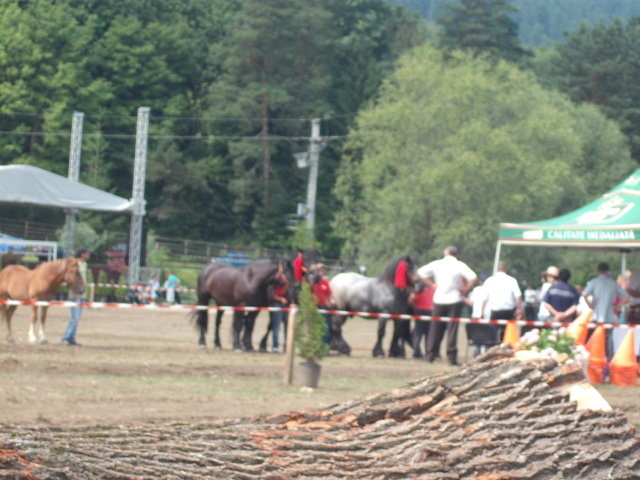 42215189_NBSZDARLB[2] - expo capu campului