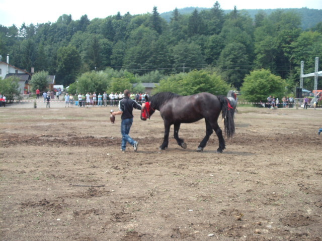 42215212_GWZDDGXBW[2] - expo capu campului