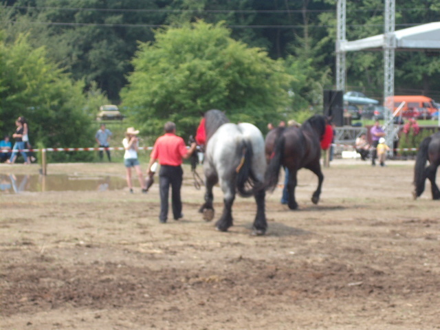 42215223_EKZBPEZHI[2] - expo capu campului