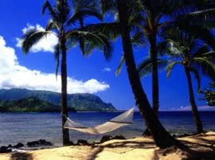 images - Hawaii