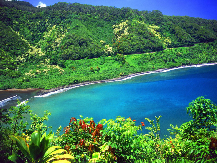 Road_to_Hana_Turquoise_Lagoon_Maui_Hawaii - Hawaii