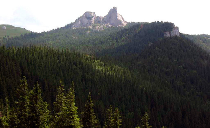 PensiuneaLidana_Turism_Rarau01[1]