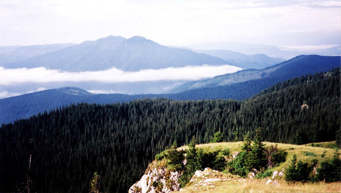 PensiuneaLidana_Turism_Rarau02[1]