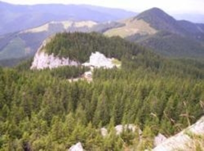 TRASEE-MONTANE-RARAU---TRASEUL-CAMPULUNG-MOLDOVENESC---MESTEACAN---MUNCEII-RARAULUI---CABANA-RARAU[1