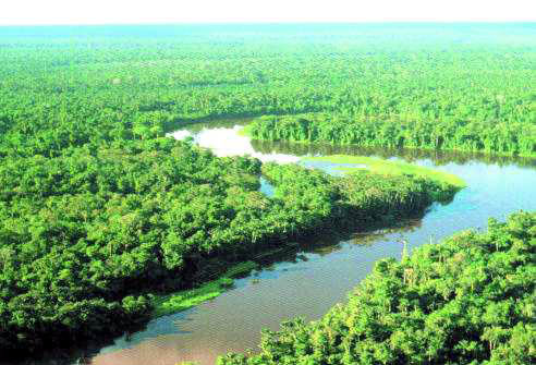 amazonia - Amazonia