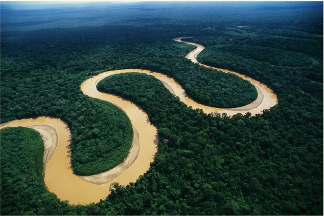 imagen-la-amazonia