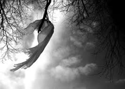 5 - 0 pentru deokmanlove 0