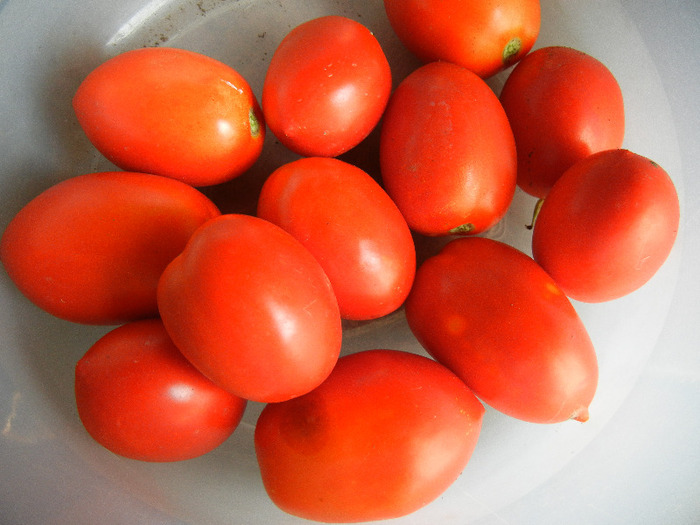 Tomato Campbell (2011, September 09) - Tomato Campbell